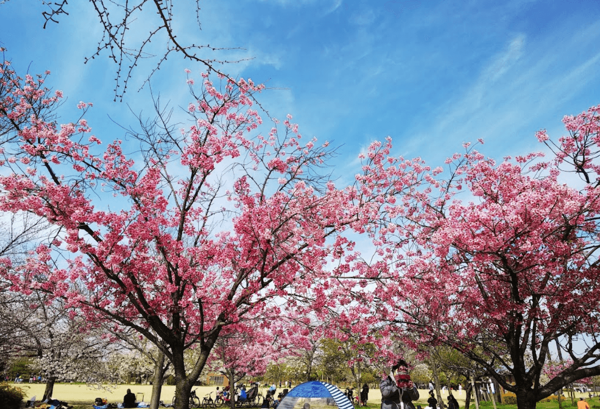 Nagai Park