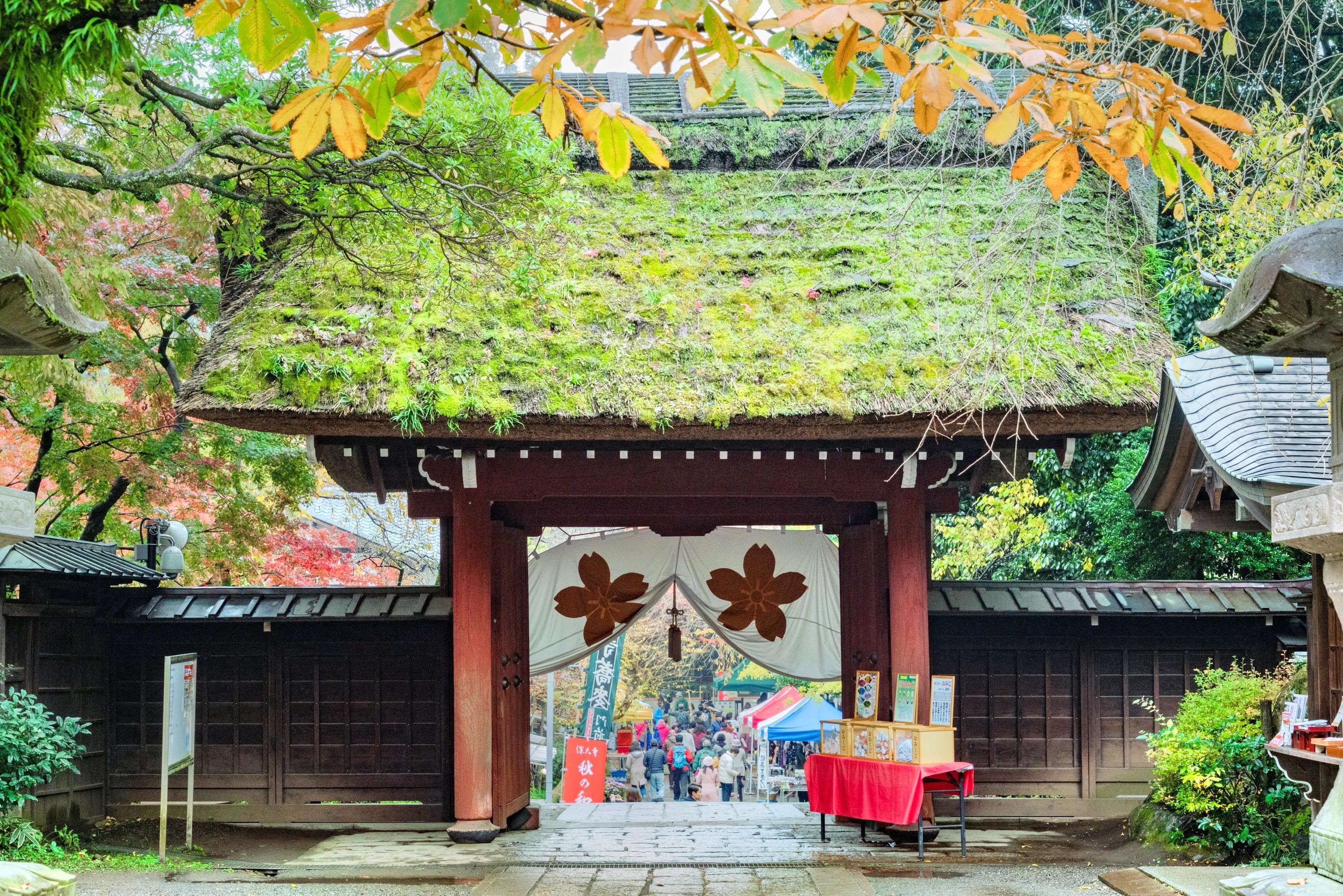 Jindaiji Temple cover image