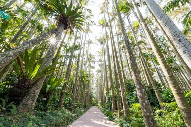 Southeast Botanical Gardens cover image
