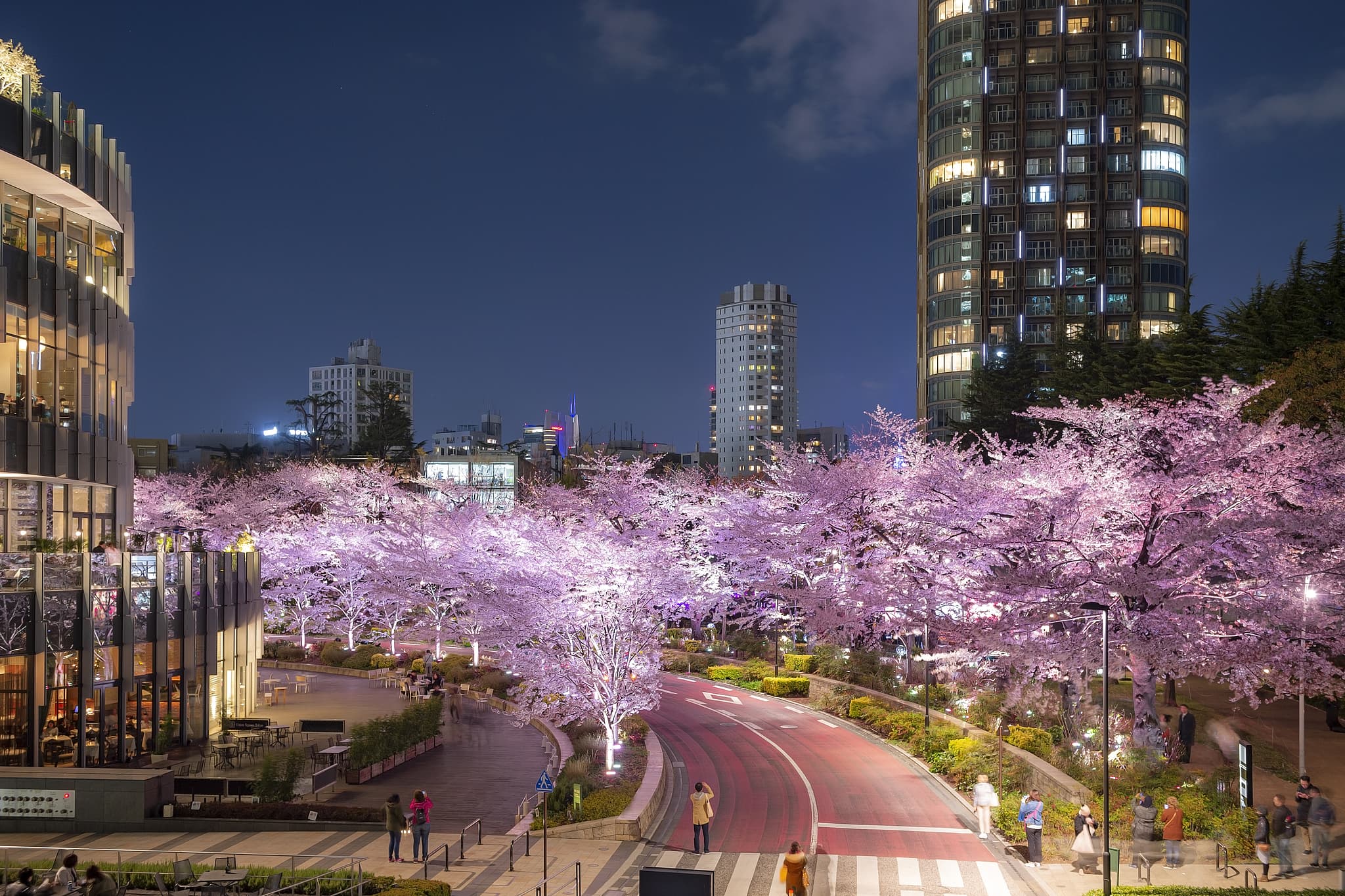 Roppongi
