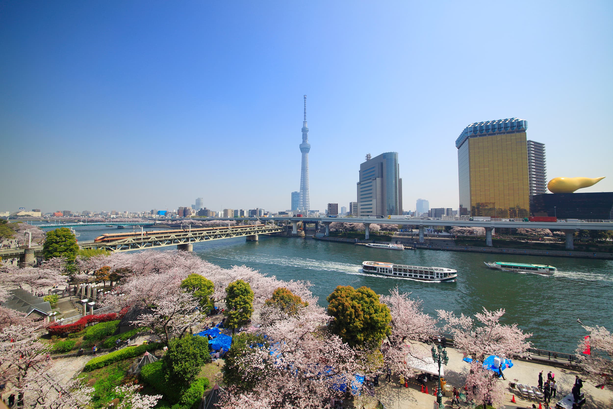 Sumida Park cover image
