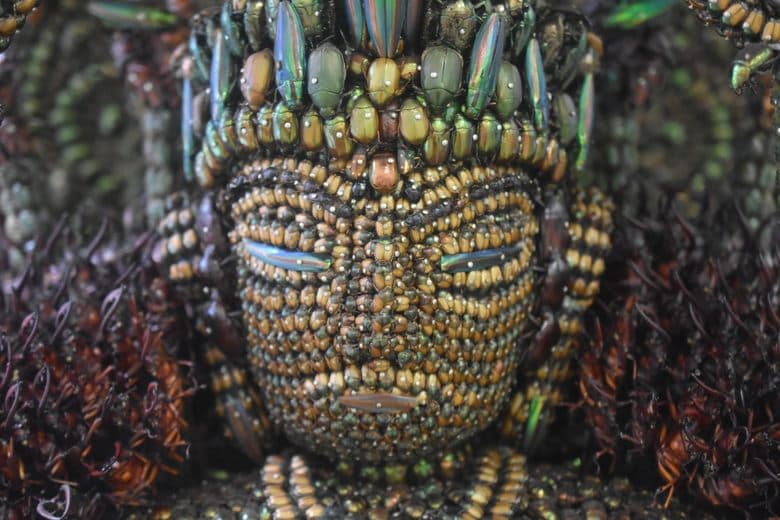 Thousand-Armed Insect Goddess of Mercy cover image