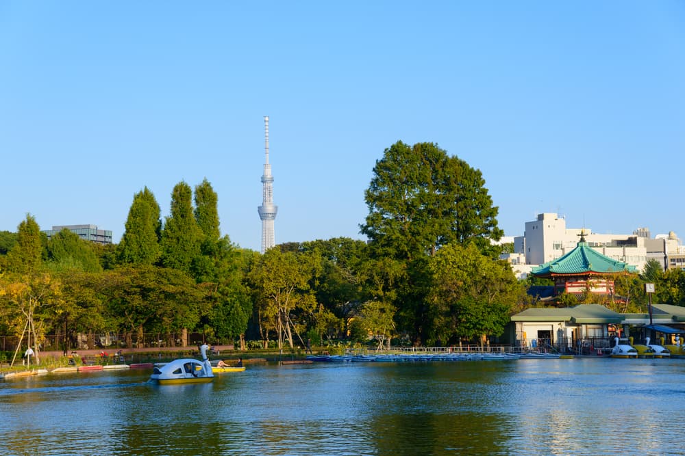 Shinobazu-Teich