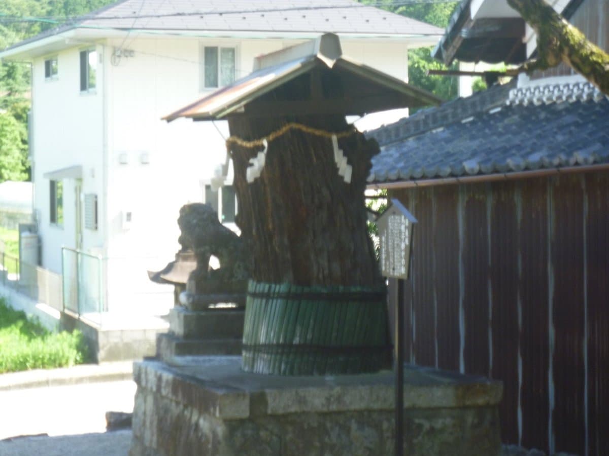 Eboshikakematsu cover image