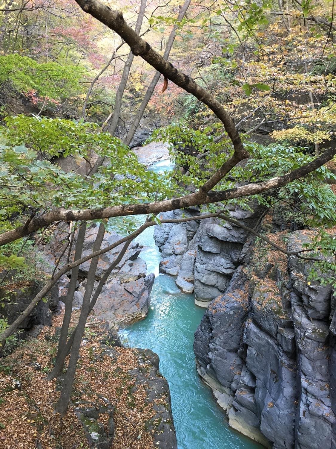 Agatsuma-Schlucht