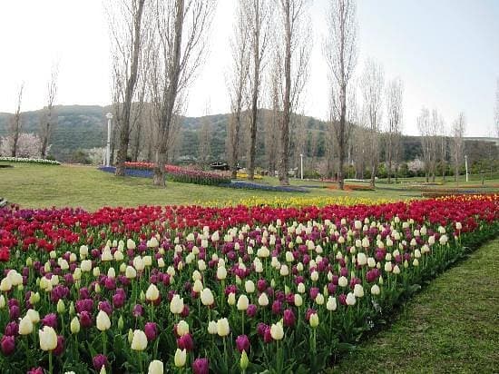 Nationalpark Akashi Kaikyo