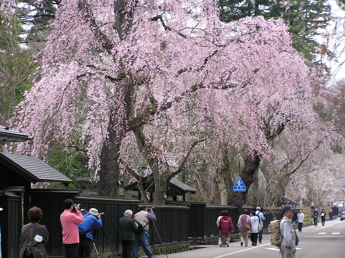 Kakunodate