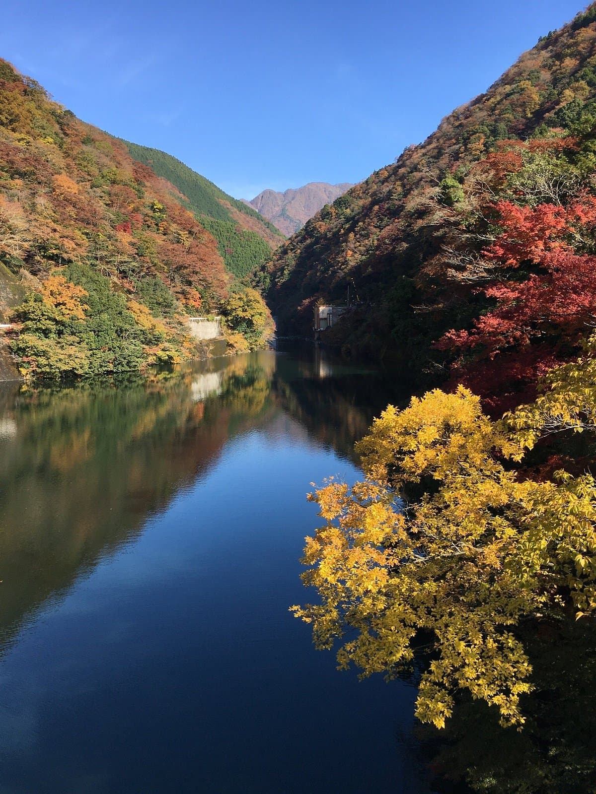 Yushin Valley cover image