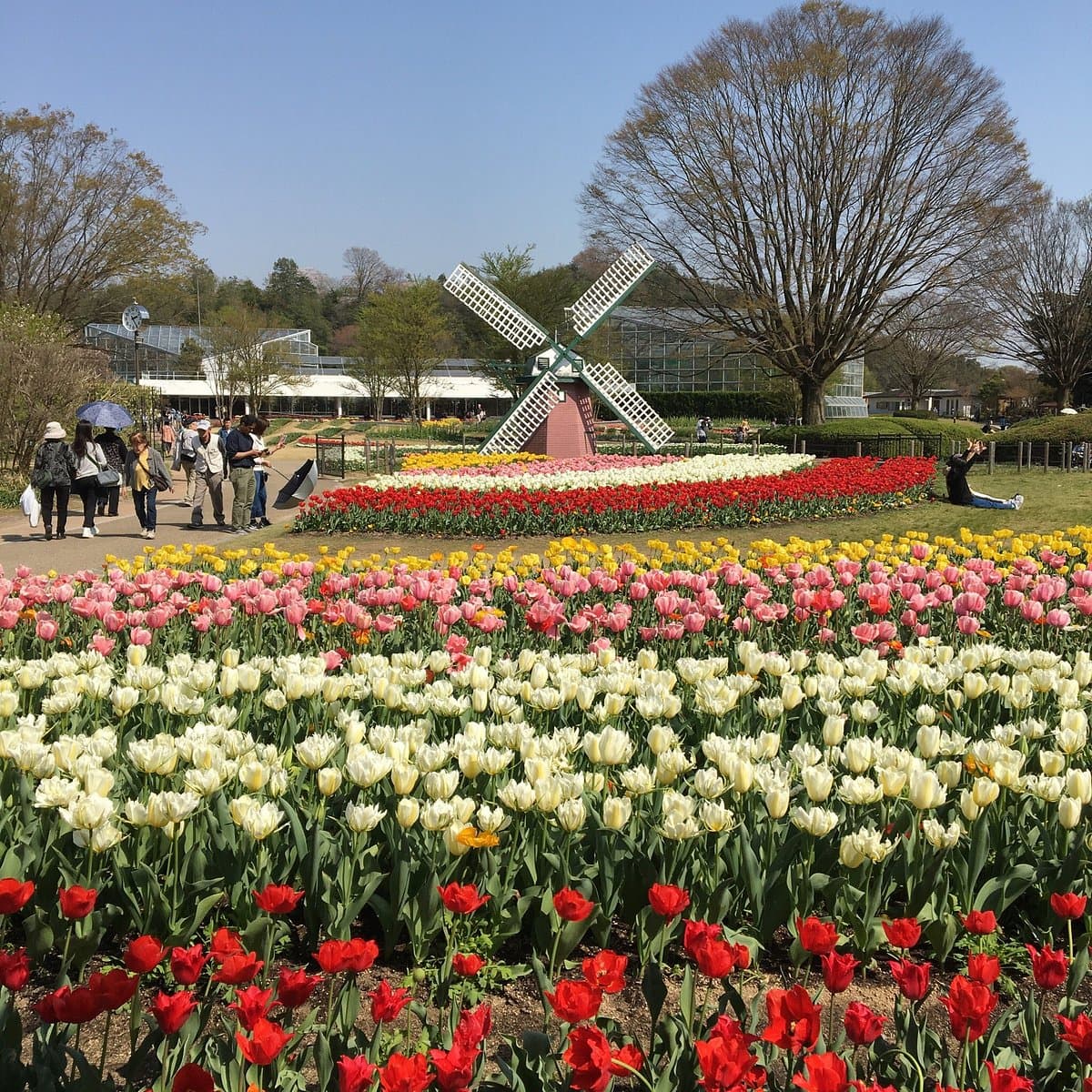 Hyogo Prefectural Flower Center cover image
