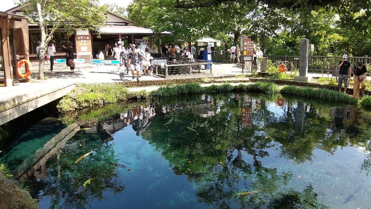 Waku-Teich