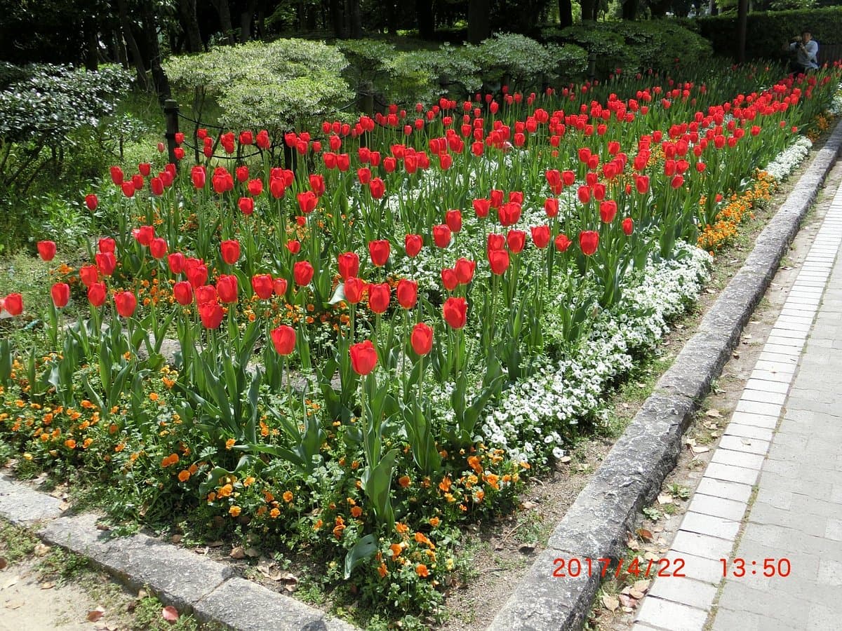 Kamisakabenishi Park cover image