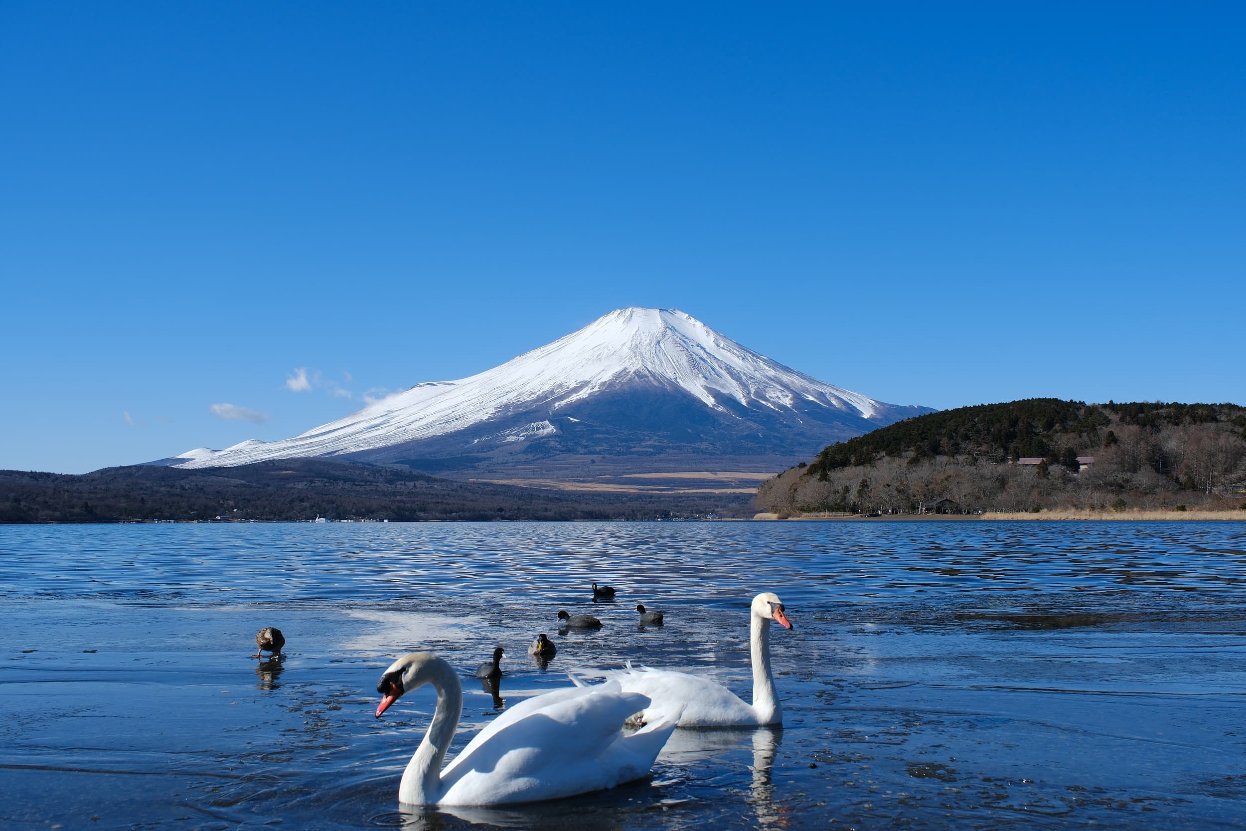 Hirano Strand