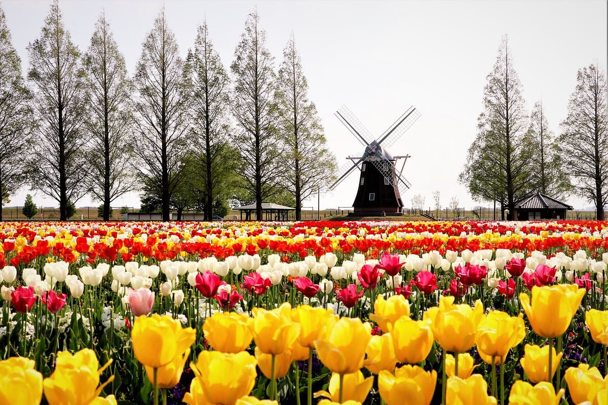 Akebonoyama Landwirtschaftspark