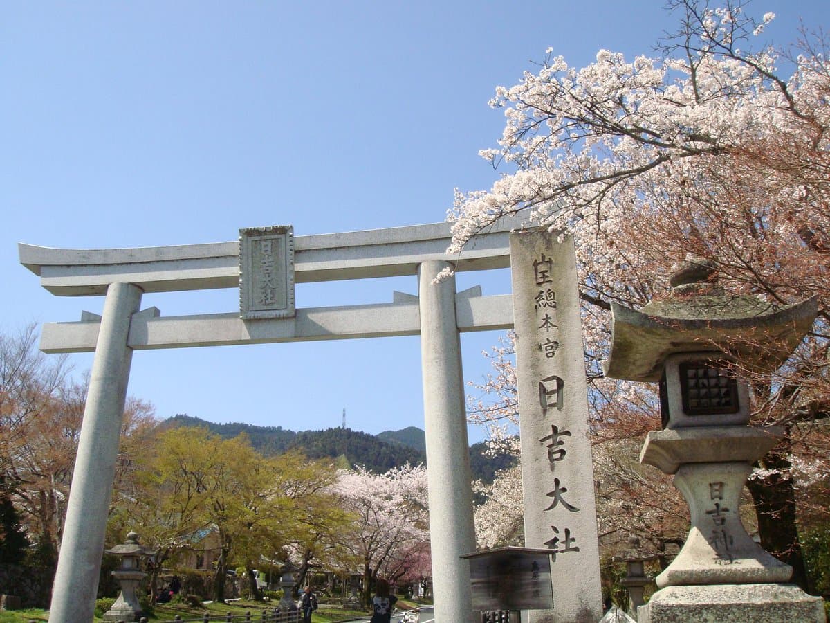 Hiyoshi Taisha cover image