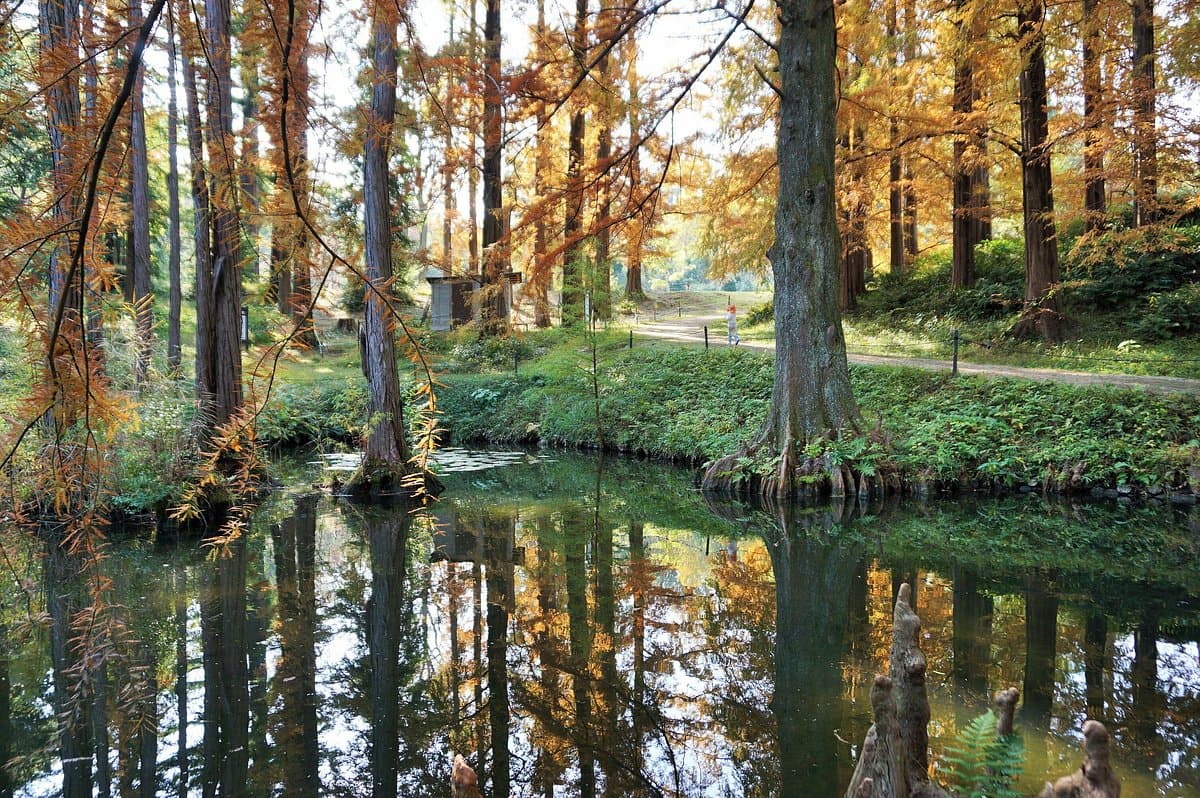 Botanischer Garten der Universität Osaka