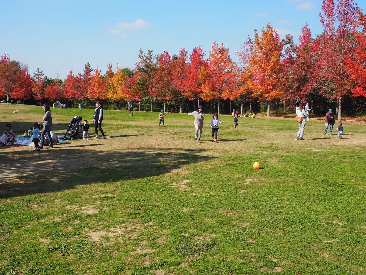 Mikiyama Waldpark