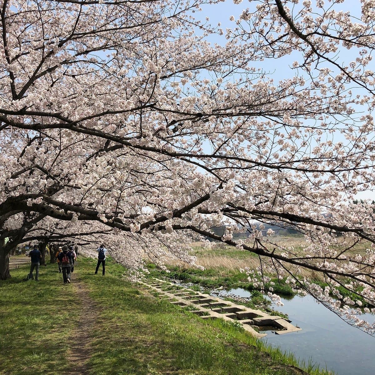 Irumagawa-Promenade