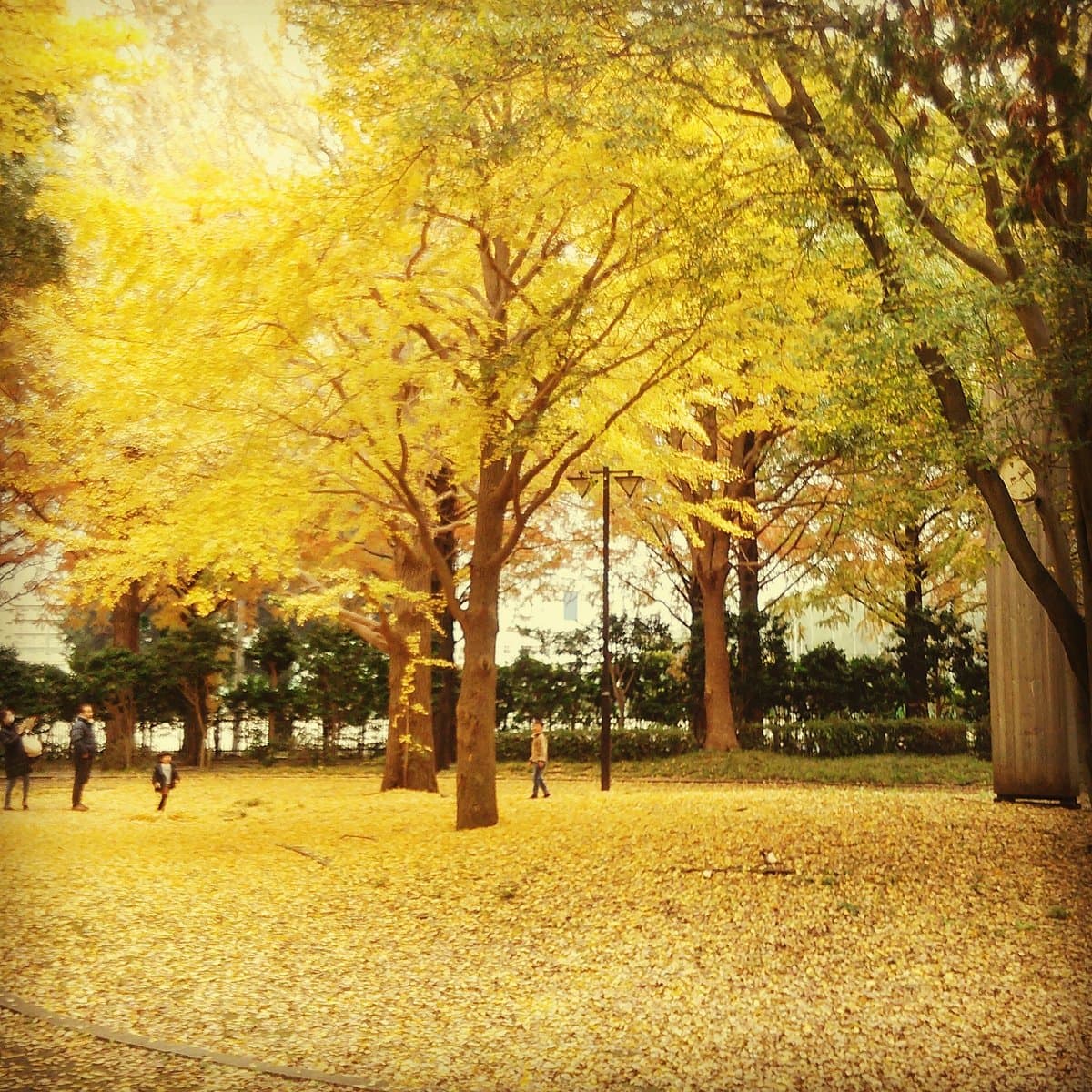 Hiratsuka Stadtpark