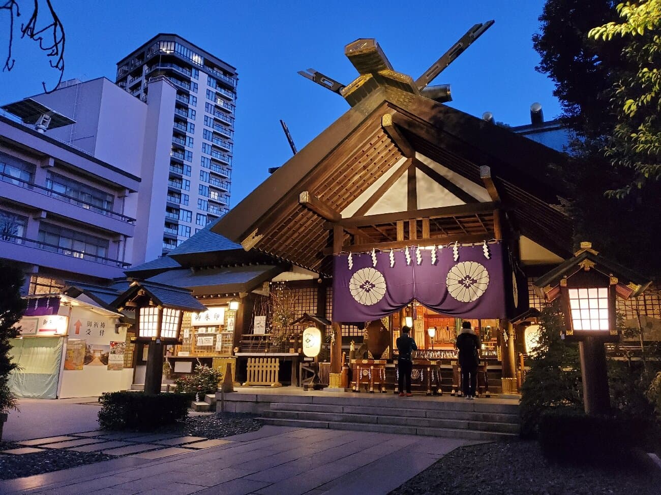 Tokyo Daijingu cover image