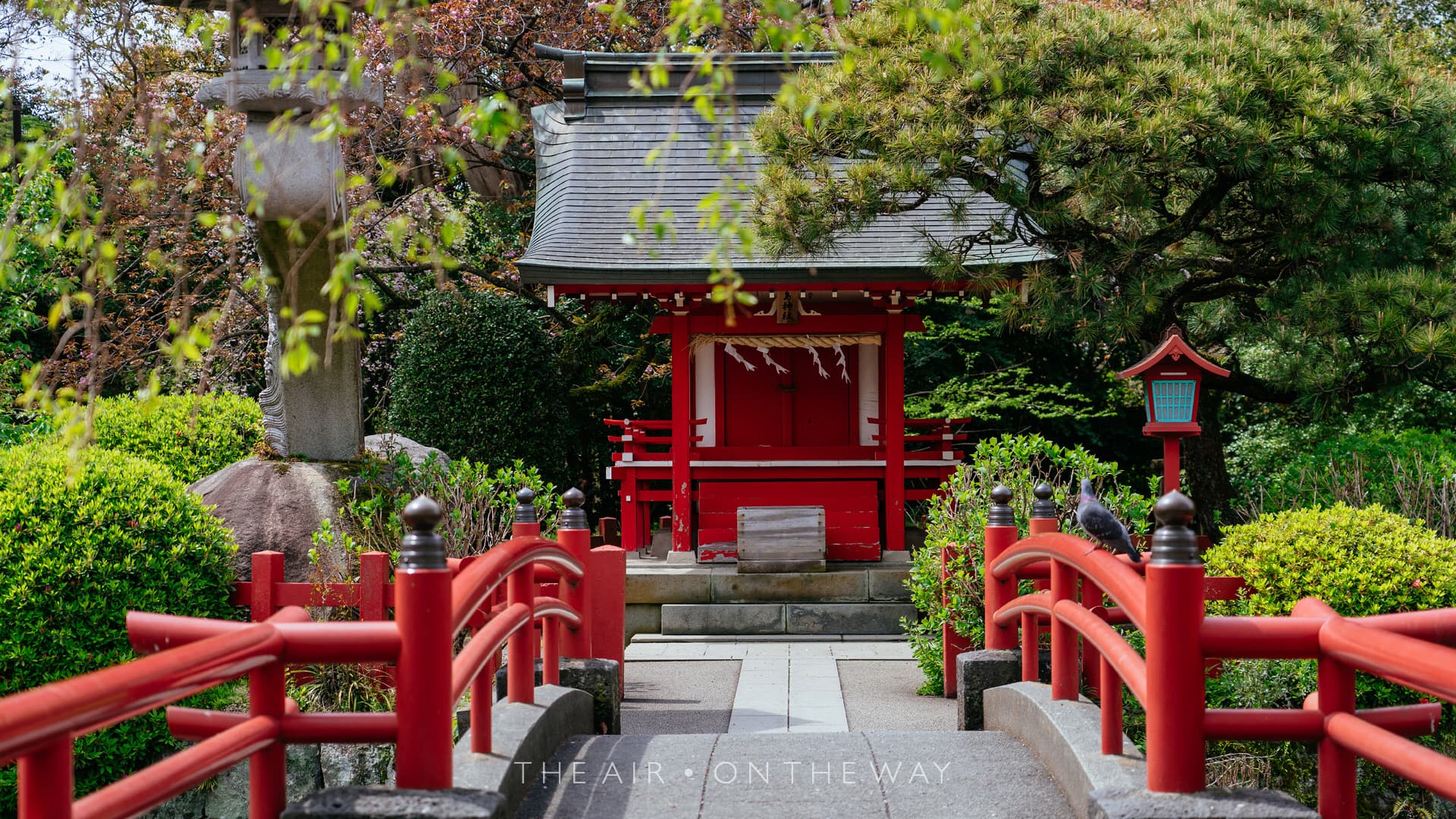 Mishima Taisha Schrein