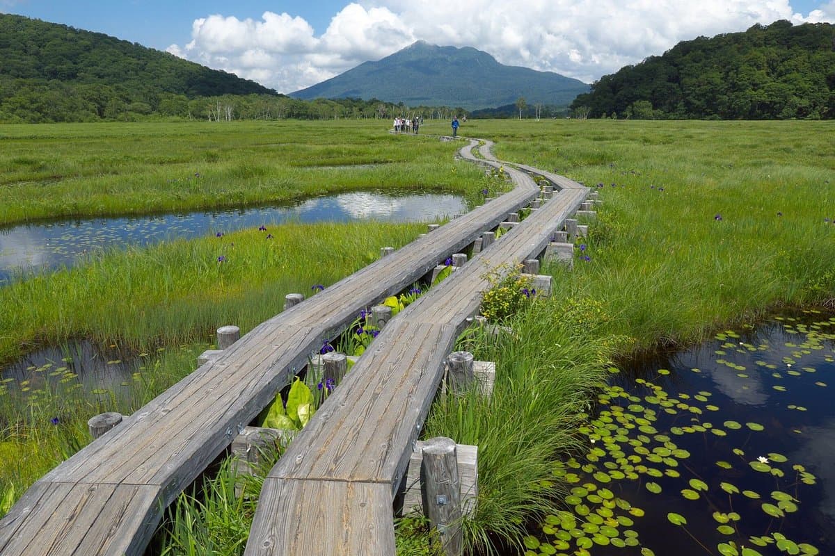 Oze-Nationalpark