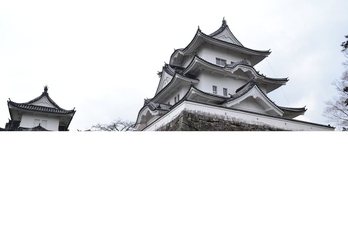 Iga Ueno Castle cover image
