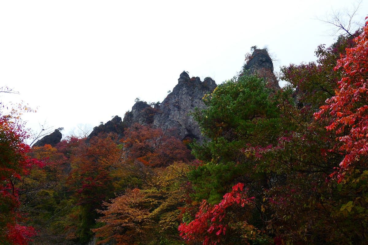 Berg Myogi