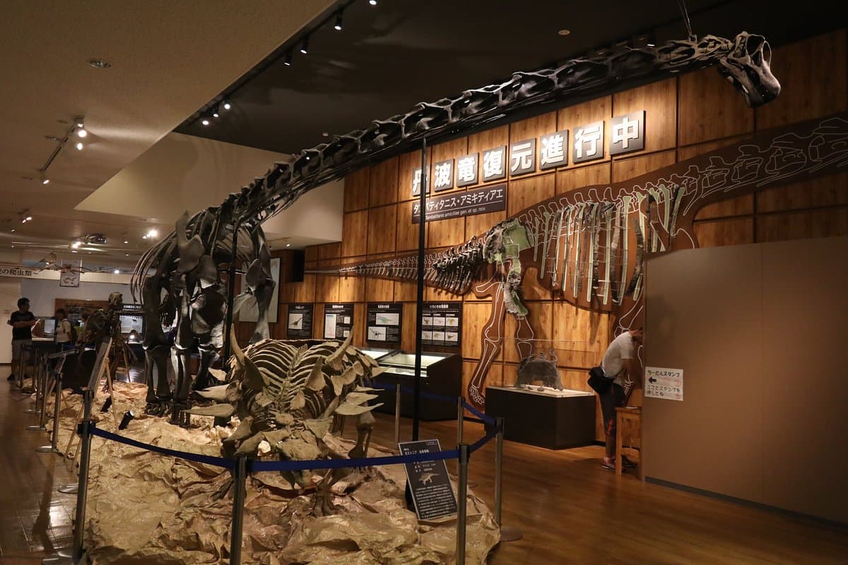 Tamba Dinosaurs Fossil Studio Chitan Museum cover image