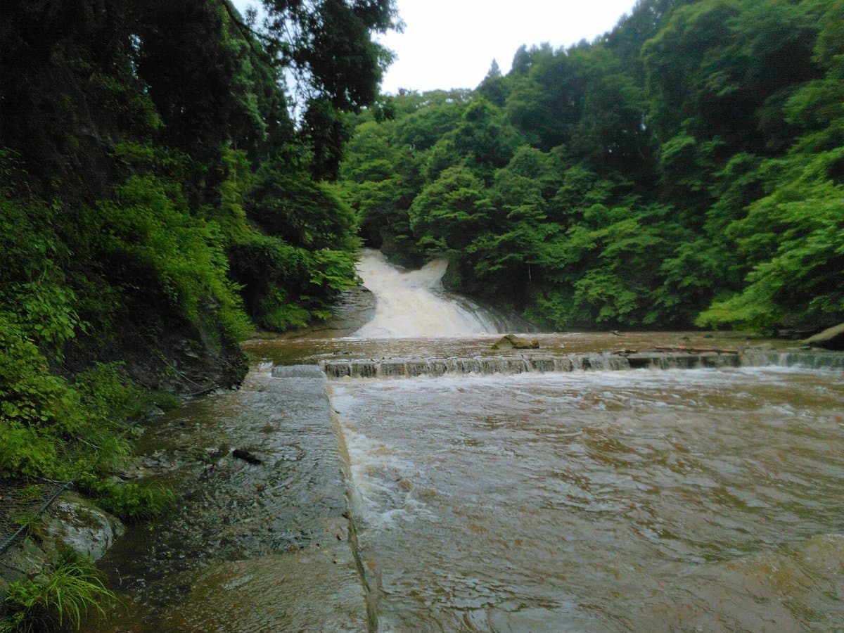 Yoro River Area cover image
