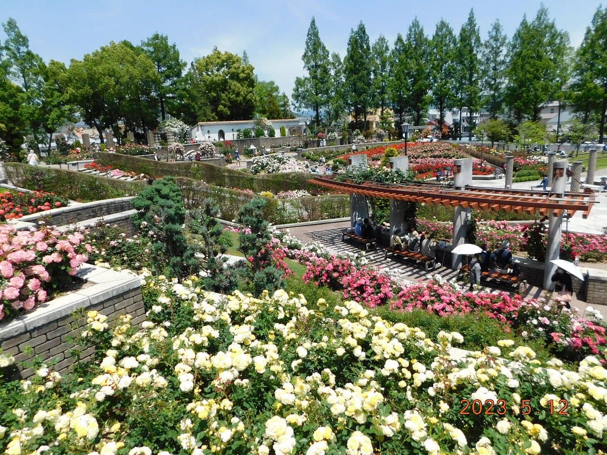 Aramaki Rose Garden cover image