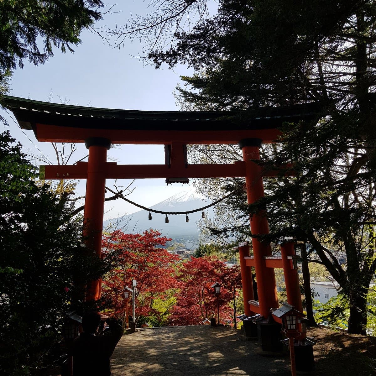 Kawaguchi Asama Shrine cover image