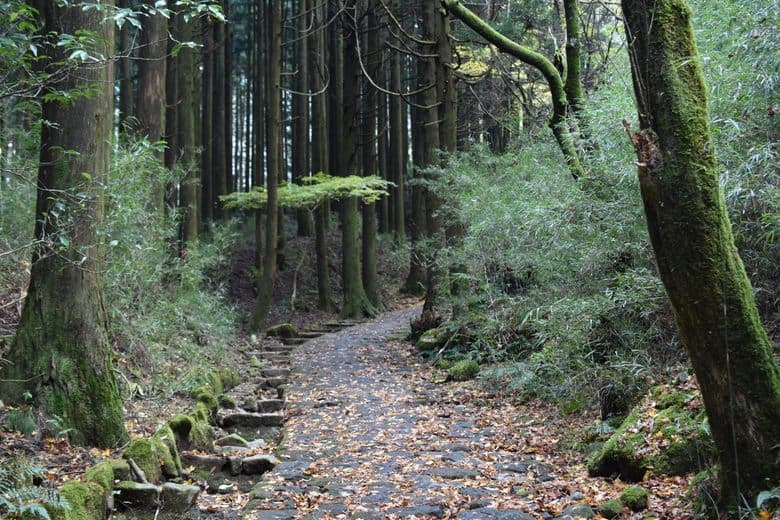 Alter Tokaido-Weg