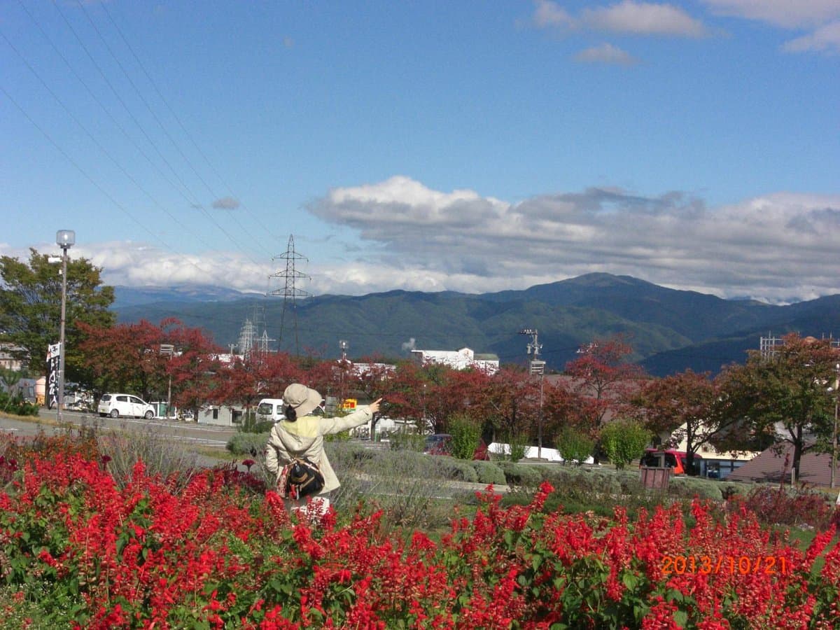 Miharasi Farm cover image