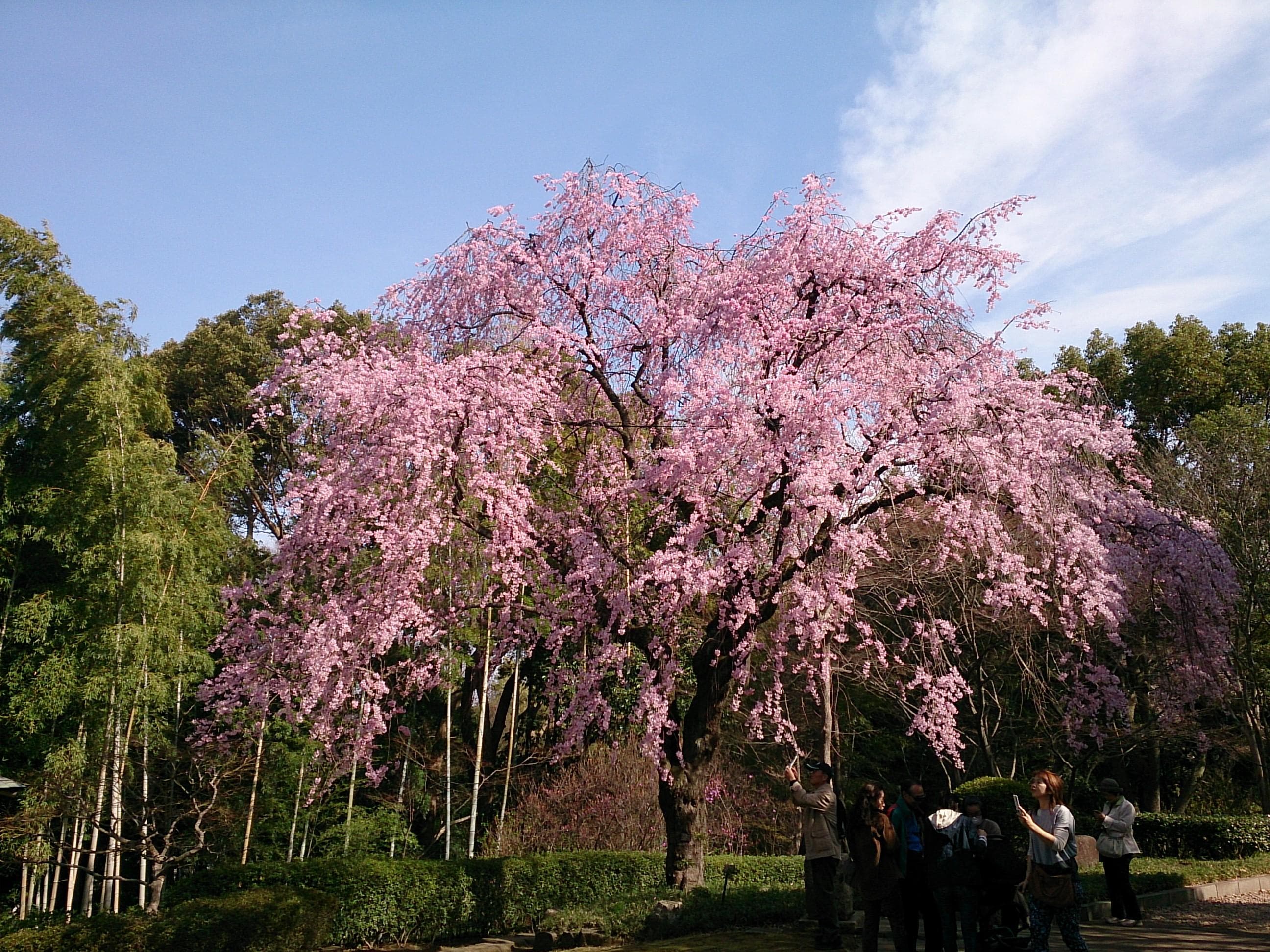 Saka-Fluss