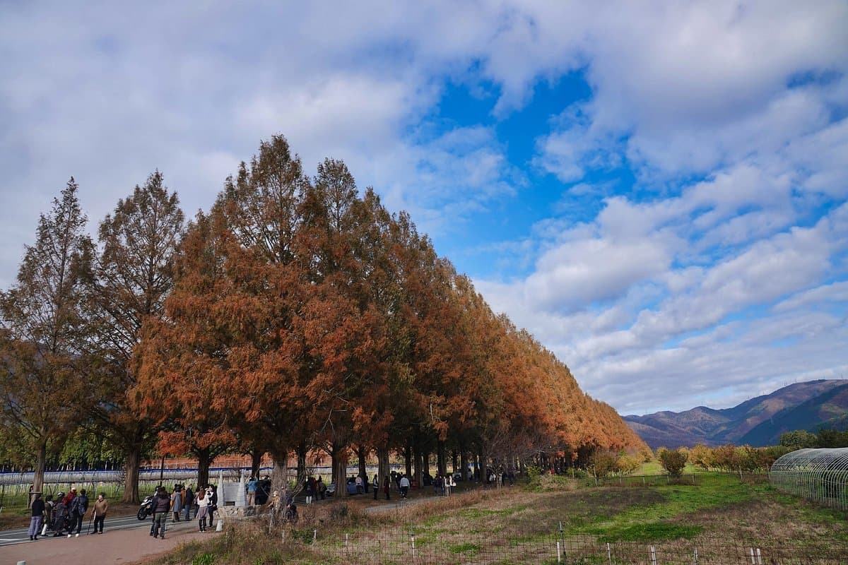 Makino Highland cover image