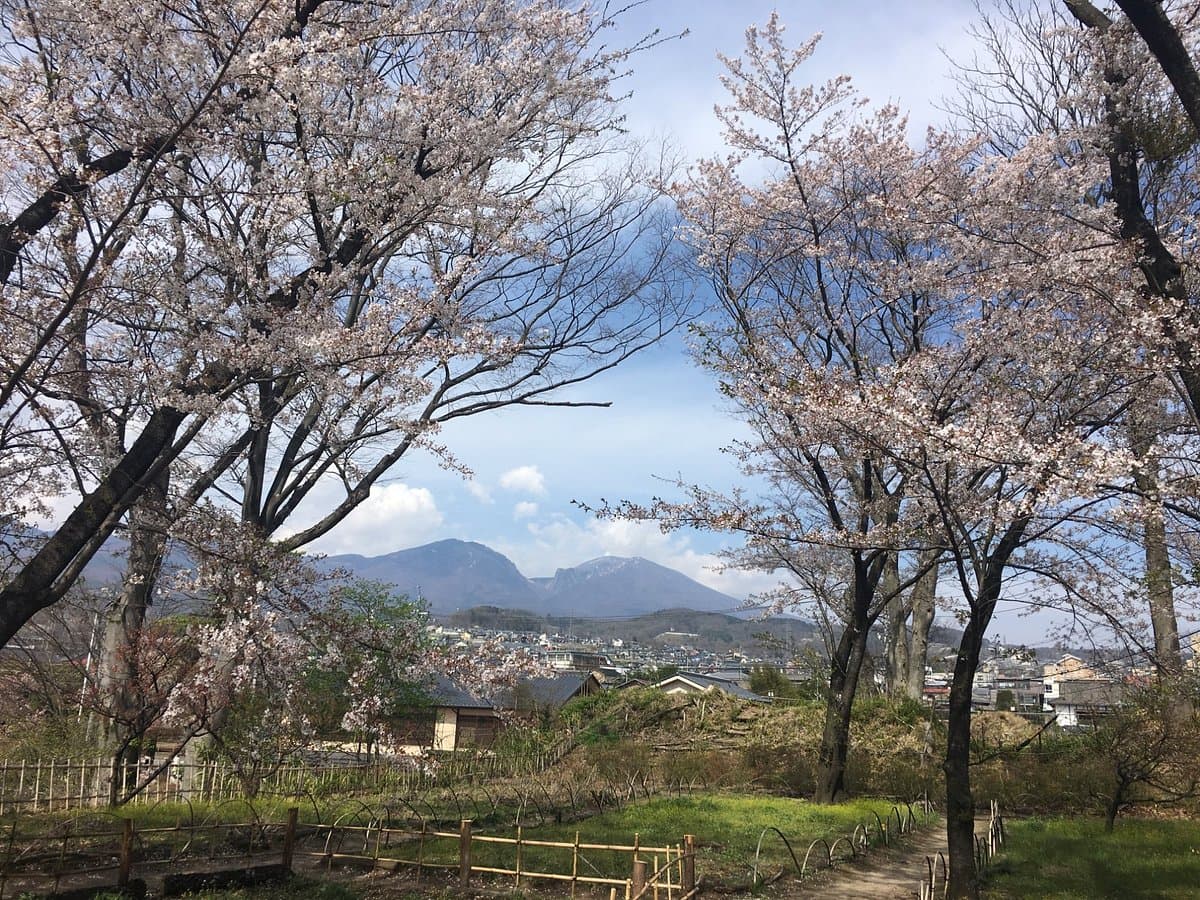 Kaikoen Garden cover image