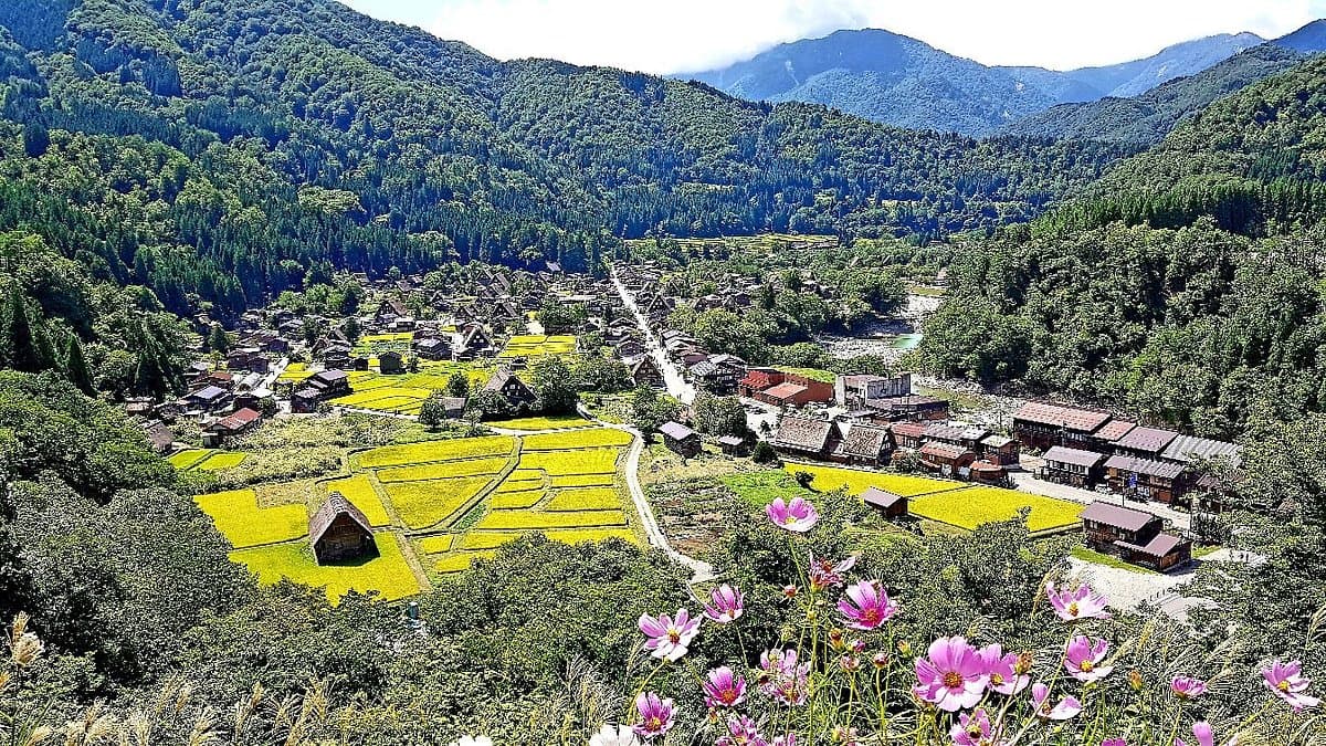 Shirakawago
