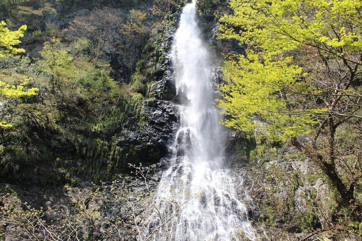 Tendaki Falls cover image