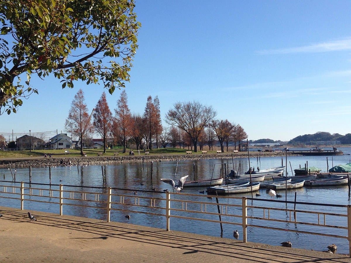 Teganuma Park cover image