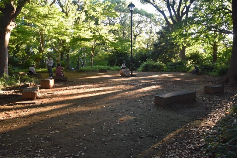 Suribachiyama Tumulus cover image