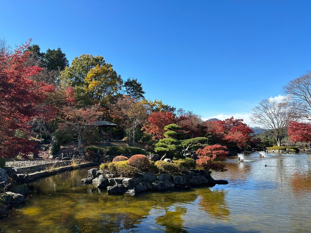 Sakurayama Park cover image