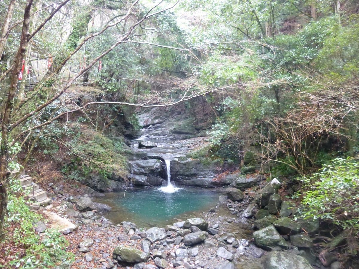 Inunakisan Izumikatsuragi Mountain Hiking Course cover image
