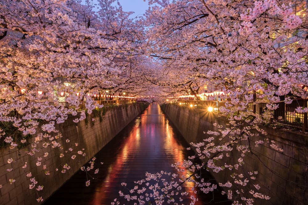 Meguro-Fluss