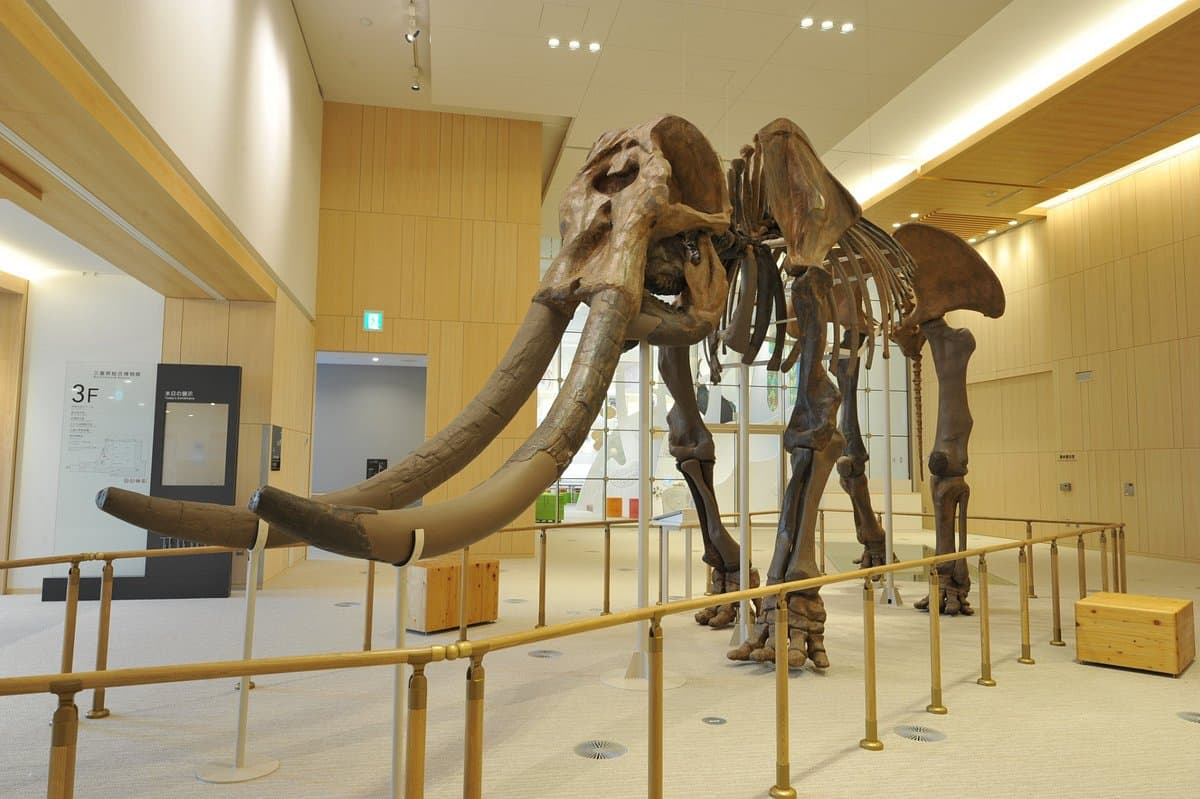 Präfekturmuseum Mie
