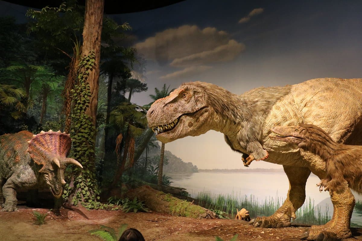 Museumspark Ibaraki Naturmuseum