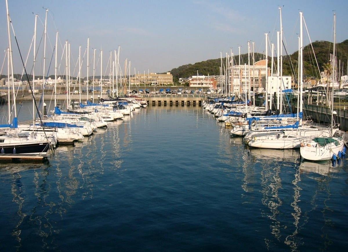 Hayama Marina cover image