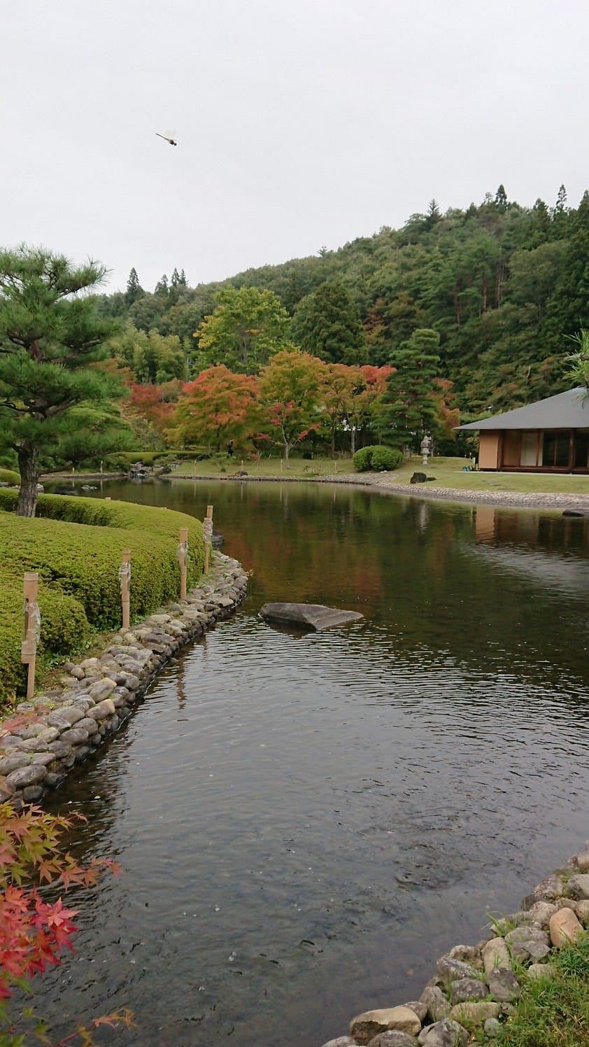 Nanko Park cover image