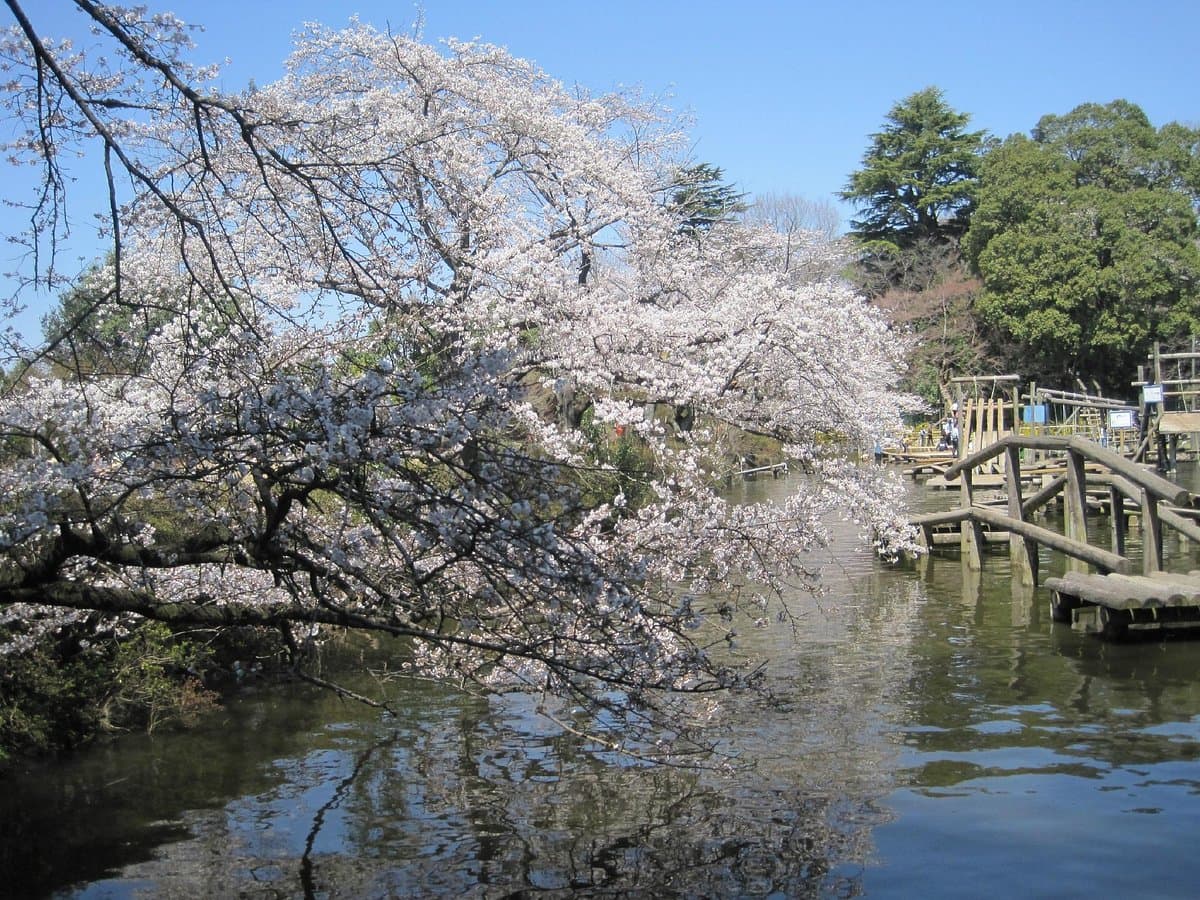 Shimizu Park