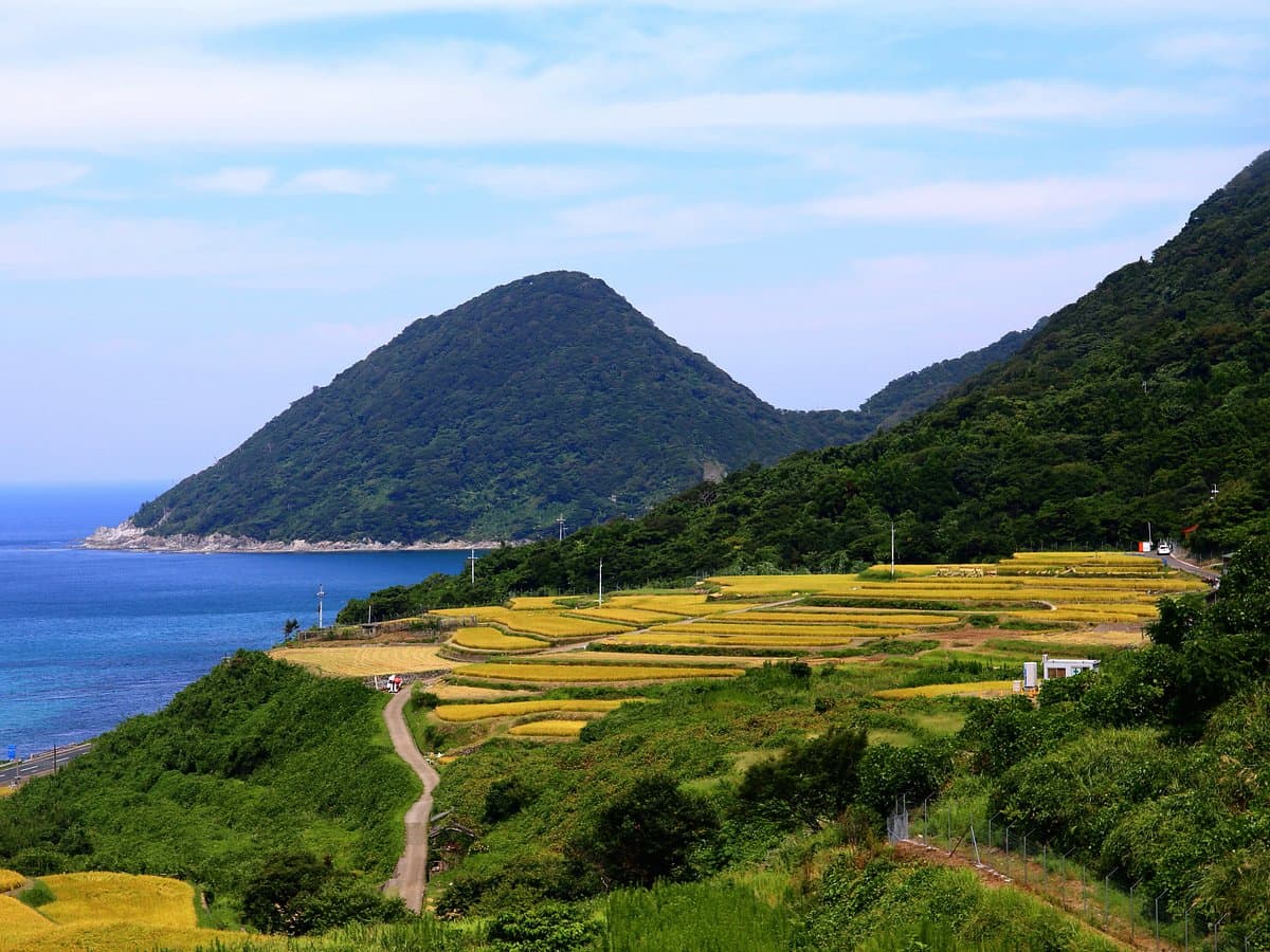 Sodeshi Terraces cover image