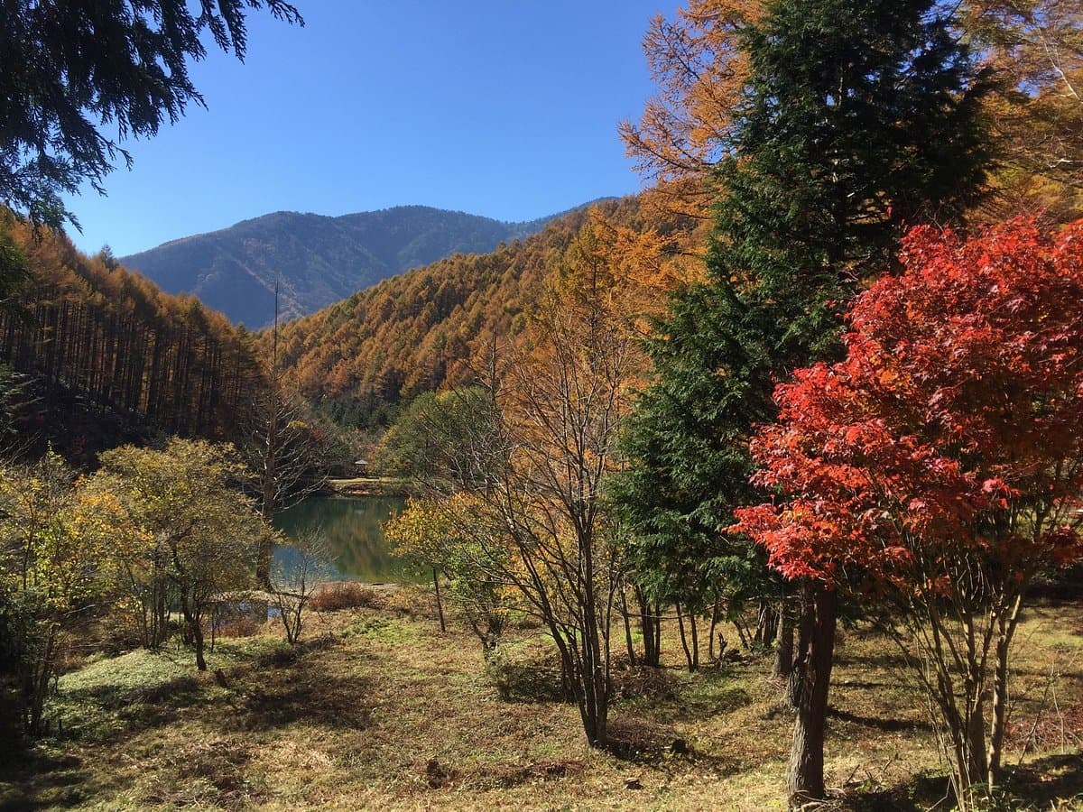 Ropeway Heavens Sonohara in Fujimidai Highland cover image